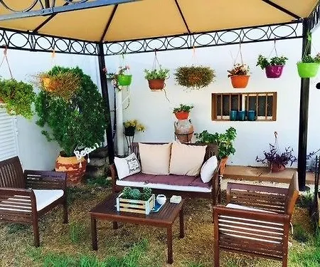 安吉拉假日公寓式酒店 Paphos